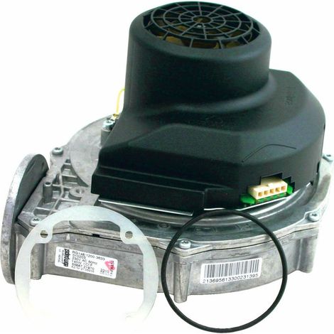 Wolf Gasgebläse 213695699 RG-148 Boost