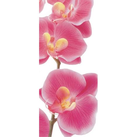 Pink orchid, intissé photo mural, 90 x 202 cm, 1 part (1/3)
