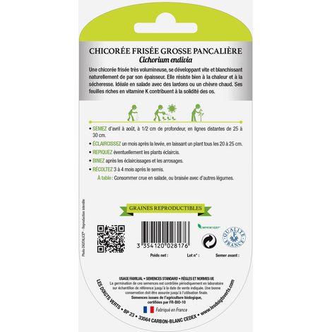 Graines Chicorée Frisée Grosse Pancalière BIO Les Doigts Verts