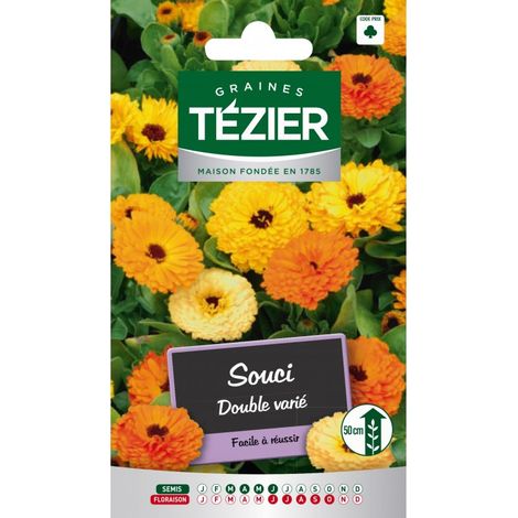 Tezier - Souci double varié -- Fleurs annuelles (1/2)