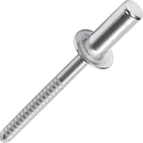 Kit de 60 Rivets Aveugles Pop Étanches à Bout Fermé - 3 Tailles : Ø4,8x10/12/16mm (20 Par Taille) - Tête Bombée en Acier Inoxydable (1/5)