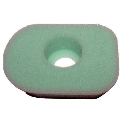 Filtro Air BRIGGS et STRATTON 270579