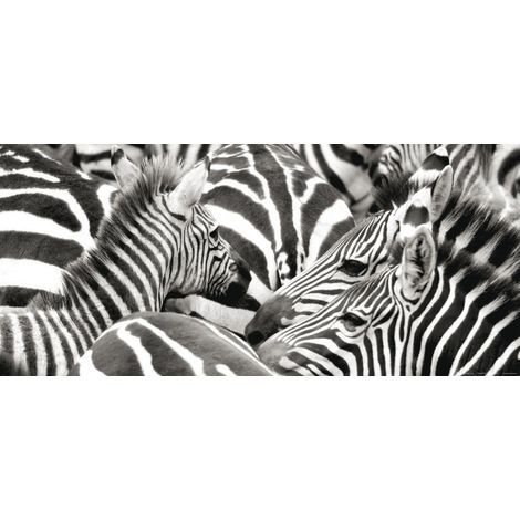 Zebras, photo murale, 202 x 90 cm, 1 part (1/2)