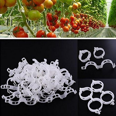 Paquete de 100 pinzas blancas de soporte para plantas de tomate: promueven un crecimiento vertical saludable. (1/4)