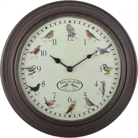 Orologio da parete con suoni di uccelli 12 "x 1,75" DEC022245