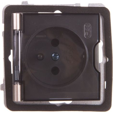 Enchufe AS a prueba de salpicaduras con tapa transparente IP44, acabado satinado, luz GPH-1GZ/m/45/d