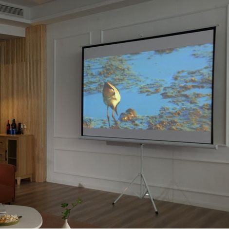 Écran de projection 4:3 100 pouces, pliable, blanc OKMYHOME (1/5)