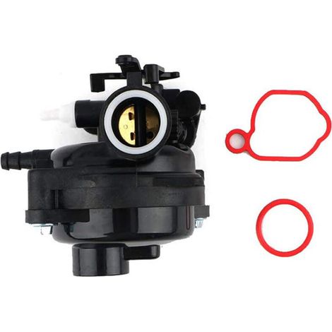 Carburatore da giardino Briggs & Stratton 799583 593261 595656 591979 590556 (1/4)