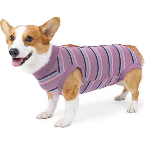 Combinaison de récupération pour chien, vêtements chirurgicaux respirants pour chiots, vêtements chirurgicaux postopératoires, vin rouge, large bande L (1/5)