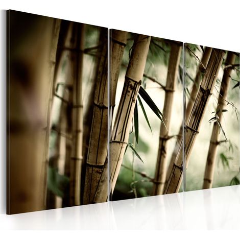 Quadro - Nella foresta tropicale - 90x60 (1/4)