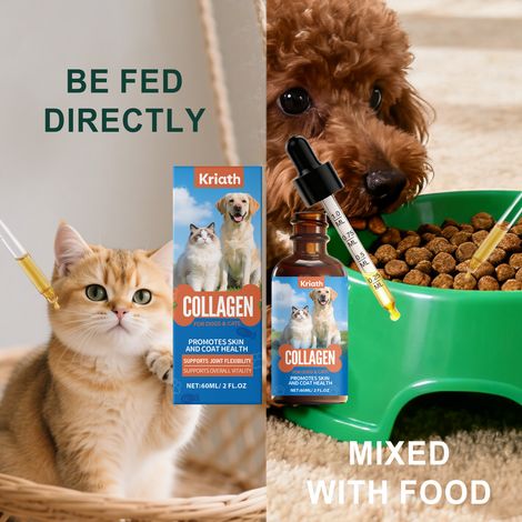 Gouttes de collagène liquide à formule douce pour chats et chiens, complément alimentaire quotidien pour animaux de compagnie – 60 ml (1/5)