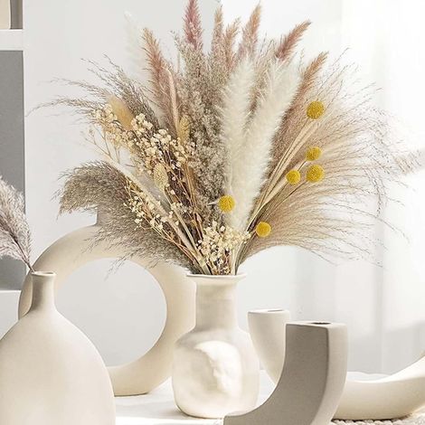 Pampasgras Décoration - 73 Pièces Fleurs Séchées DIY,Fleurs Naturelles Séchées - Décoration de Table Boho avec Herbe de Pampa Séchée,Gypsophile - Idéal pour la Décoration de Table,Vases et Fenêtres (1/5)