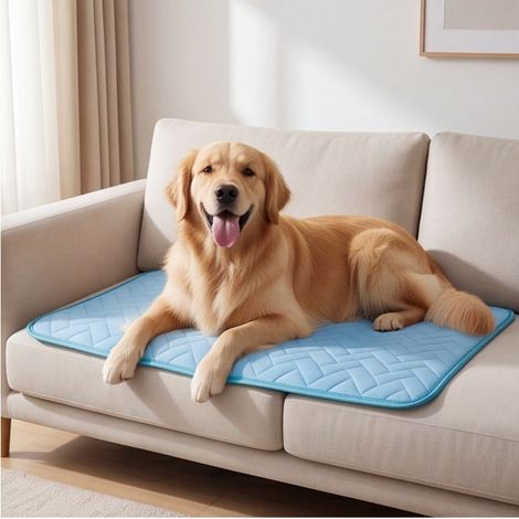 Tapis pour Chien XL 100x70 cm Lavable et Réutilisable, Coussin Absorbant Imperméable pour Animaux, Alèse de Protection Anti-fuite pour Dressage Chat et Chien-x (1/4)
