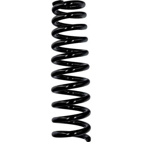 Muelle trasero Eibach ERL para Mercedes-Benz R10354 (1/2)