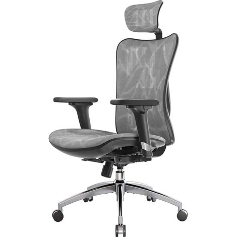 Bürostuhl ergonomisch 3D Armlehne Lendenwirbelstütze 150kg Grau (1/5)
