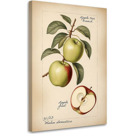 Tableau sur toile Fruits Vintage Pomme 40x60 (1/5)