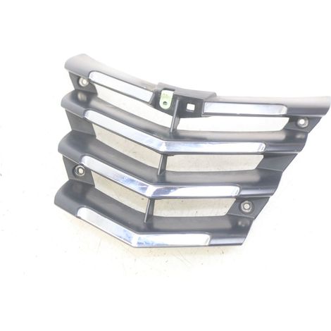 GRILLE RADIATEUR PEUGEOT CITYSTAR 125 2011 - 2017 (1/4)