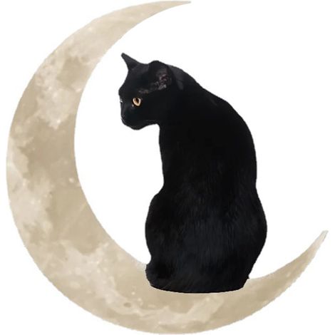 Pendentif Chat Noir sur Lune en Métal - Décoration Murale Intérieure - Idée Cadeau Déco Maison (1/5)