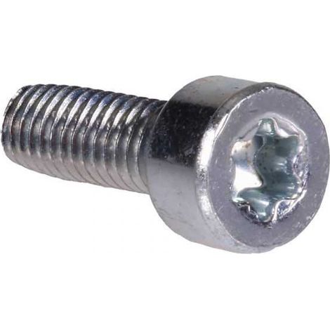 Vis Torx 27 pour Stihl. x10. Type M4 x 12 (1/4)