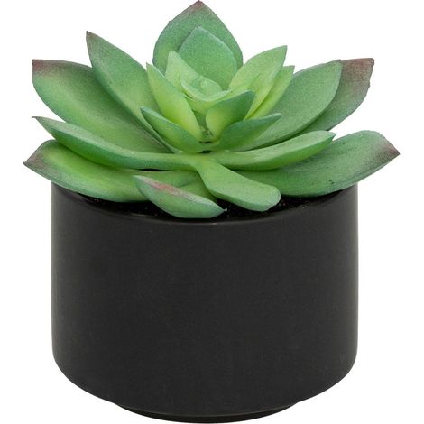Pianta grassa in vaso H13 - Modello d nero - Atmosphera créateur d'intérieur