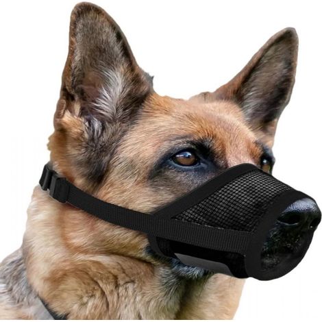 Museau Pour Chien - Réglable - Maille Respirante - Boucle En Forme De Cercle - Taille S - 12 À 15 Cm - Noir