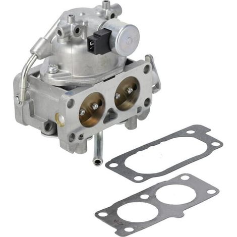 Carburateur BRIGGS & STRATTON 845276