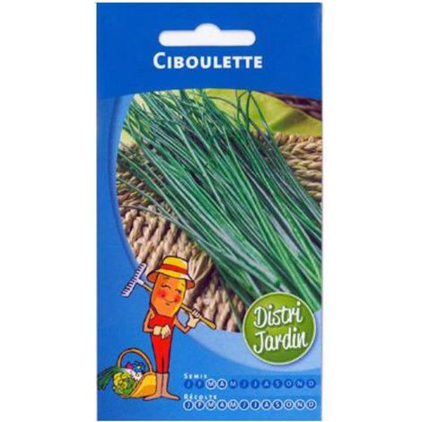 Graines de Ciboulette (1/2)