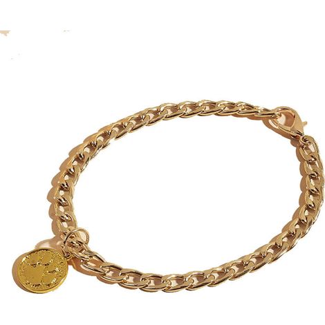 Collier chaîne Chat avec - Collier chaîne pour Petits Chiens - Collier de Chat Collier de chaîne de Chiot, Bijoux de Mode pour Chats, Chiens, Chiots, Chatons (1/5)