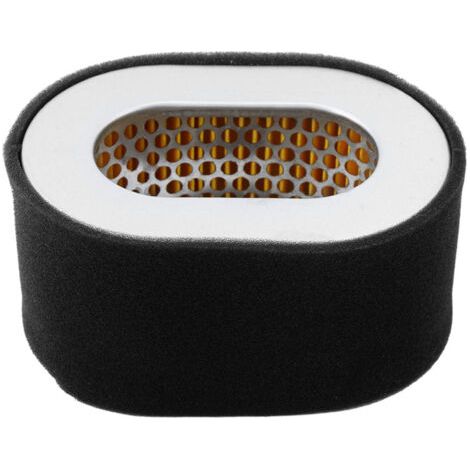 Filtre à carburant de rechange en acier inoxydable 1PC pour moteur de générateur diesel 186 Noir (1/5)