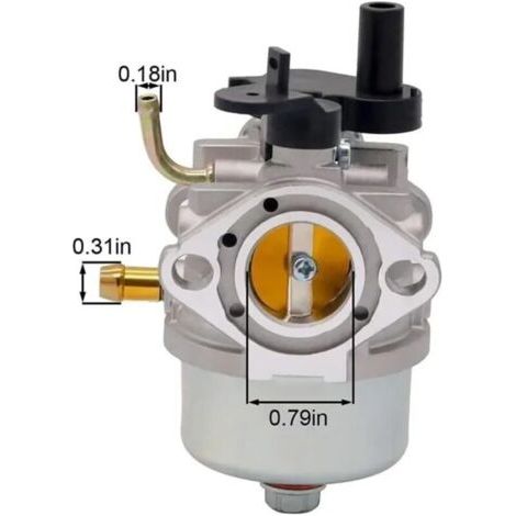 NALOOKAMIC Carburateur 801396 adapt�� aux moteurs de souffleuse �� neige 801233 801255 CCR2450 CCR3650 084233 084333
