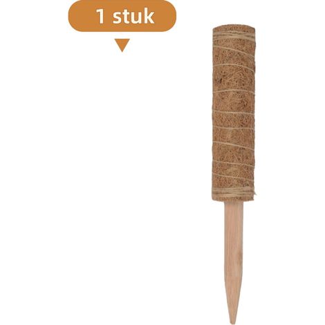 Support pour tuteur en mousse pour plantes grimpantes 30 cm avec tige en fibre de coco flexible et déformable couleur bois d'eucalyptus (1/5)