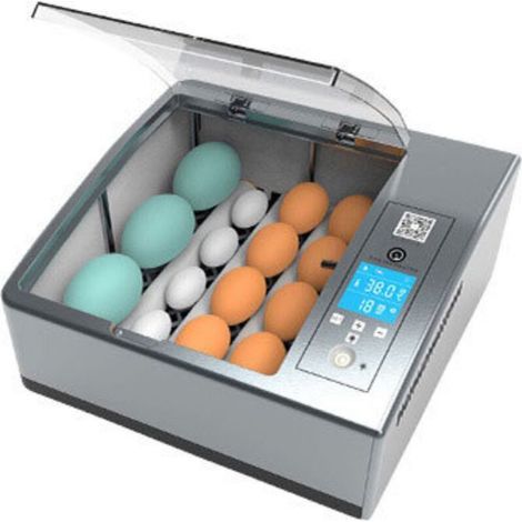 Automatic Egg Incubator for 16 Eggs, Digital with Intelligent Automatic Turning, Mini Incubator with Adjustable Temperature for Poultry, Quail, Goose, Duck, Pigeon (1/5)