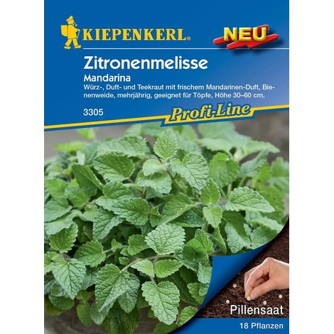 Zitronenmelisse Mandarina Preisgruppe O (1/2)