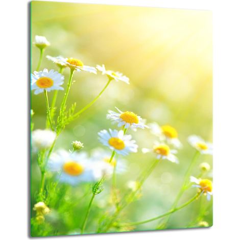 Glasplatte, Tischplatte, 40x52, Blumen (1/5)