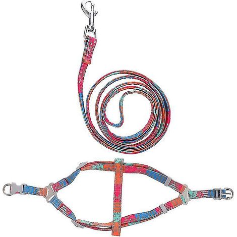 1 Set Hunde-Spaziergeschirr