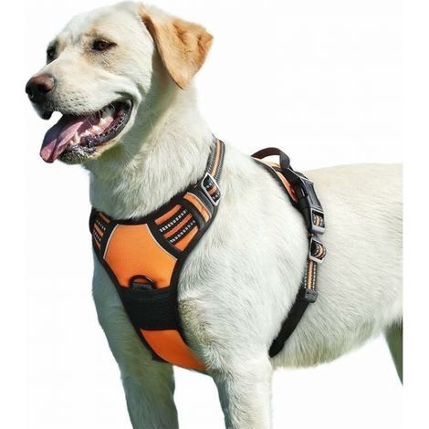 Orange, Harnais Chien, Harnais Anti Taraction pour Chien Réfléchissant Réglable, Facile à Mettre, avec Poignée Contrôle, Arnet pour Chien Respirant, Durable, Harnais pour Chien Moyen et Grand,L (1/5)