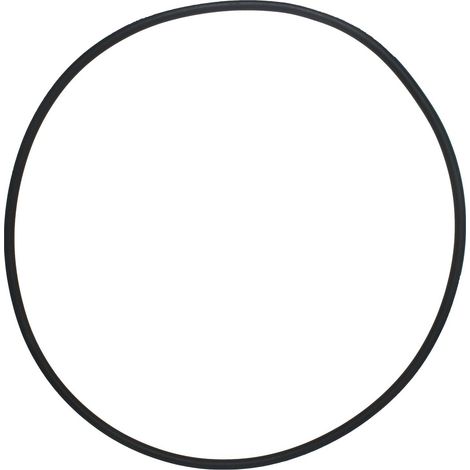 Pentair 39010200 Kraftstofftank-Klemmen-O-Ring passend für CCP 520/420/320 Filter -- 39010200 (einzelner O-Ring) (1/5)