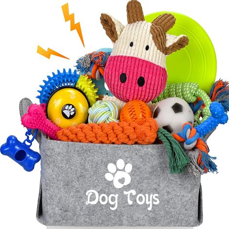 Lot de 21 jouets de démarrage pour chiot - Jouets à mâcher enrichis avec boîte à jouets pour chien - Jouets de dentition pour chiots de 8 semaines à 12 semaines - Pour jouer et dresser les (1/5)