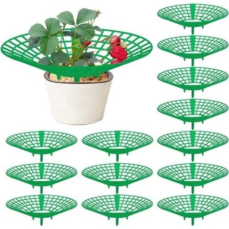 Support de fraisier - Pack de 10 pièces - Facile à assembler - Protection des plants - Culture de fraises (1/4)