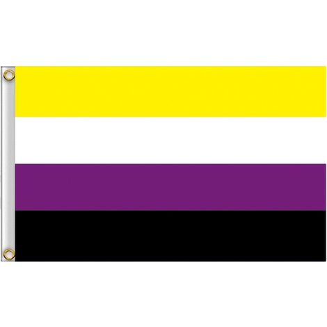 Grande bandiera arcobaleno LGBT 90x150 cm non binaria F1 (1/5)