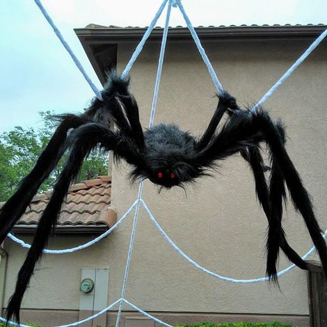 Décoration d'Halloween : araignée réaliste en peluche, araignée noire, araignée colorée, accessoire d'Halloween, 90 cm (1/5)