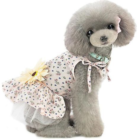 Neues Hundekleid (1-teilig) (1/3)