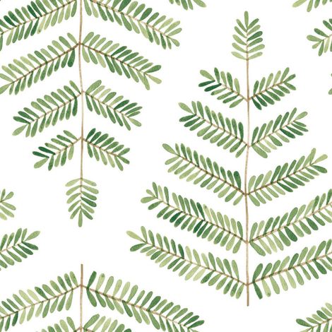 Papier peint rouleau auto-adhésif - Feuilles de Fougère - Vert (1/2)
