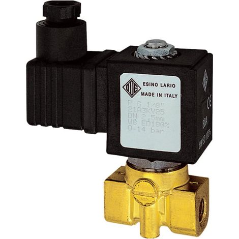 Riegler 2/2-MV, MS, NO, direktg., 24V DC, 8W, FKM, G1/4, PN0-4bar (1/4)