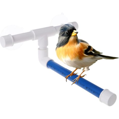 de Douche, Bain de Perroquet pour Animaux de Compagnie, (1/5)