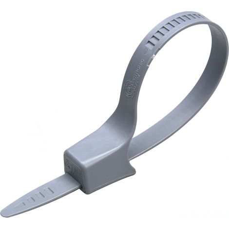 Fascetta antifurto con fascetta lunga 9'' 9169251 Alpha Checkpoint