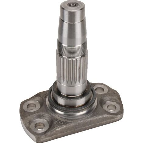 Seitlich.Rotor MASCHIO M27100304R