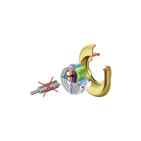 PROTECTOR MONOLITO KRIPTON BD200N ORO LUC PDV- DISEC- 1,0 pz
