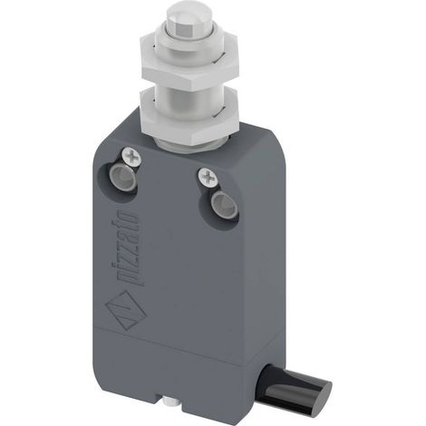 Pizzato Elettrica NF B110EB-DN2 NF B110EB-DN2 Interrupteur de fin de course 250 V/AC 4 A poussoir à rappel IP67 1 pc(s)