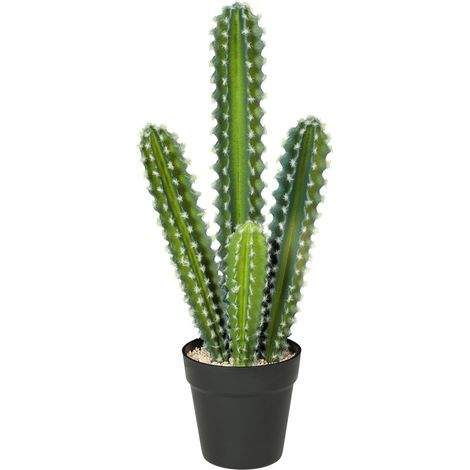 Cactus artificiel en pot 53 cm MODENUIT (1/5)